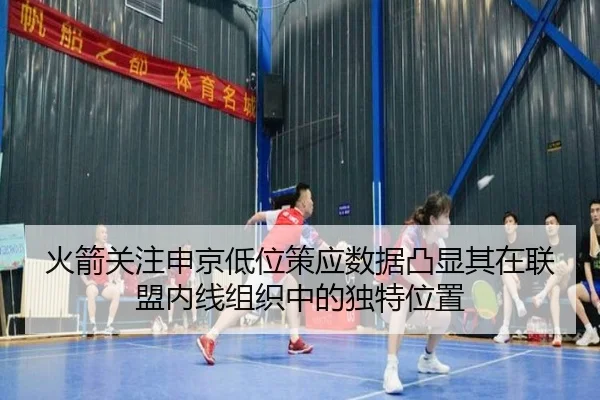 火箭关注申京低位策应数据凸显其在联盟内线组织中的独特位置